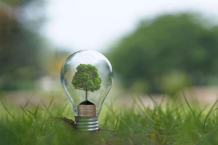 eco-friendly light bulb with tree in it - eco-friendly stock videos & royalty-free footage